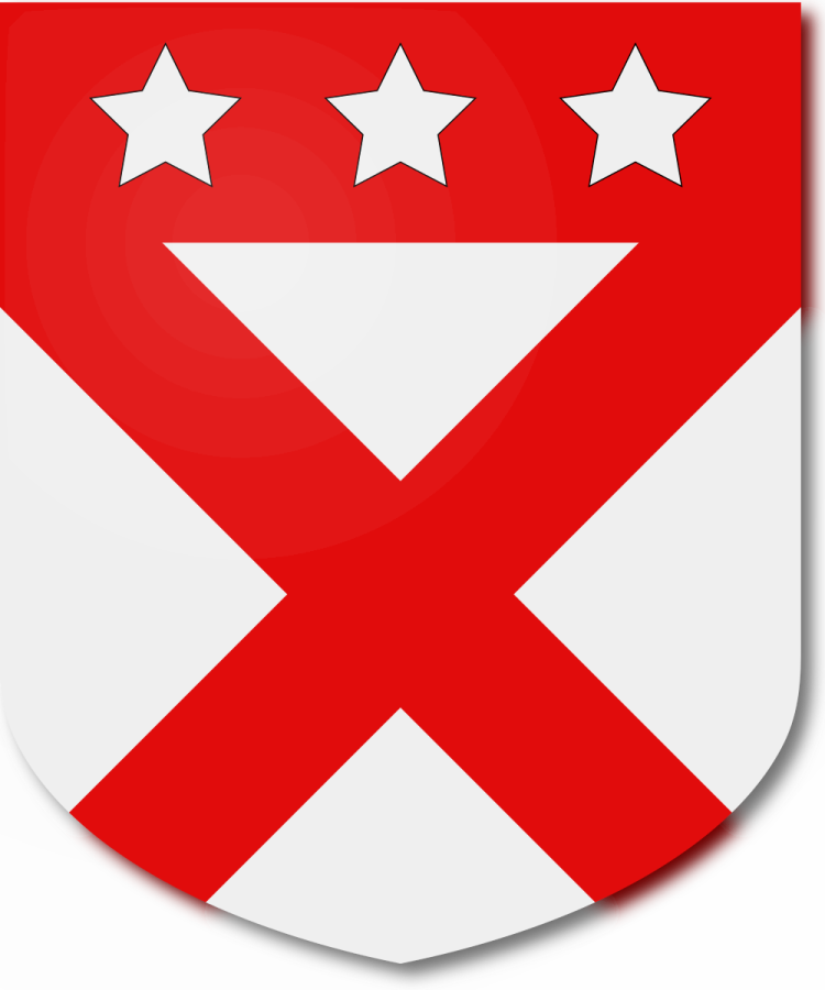 Shield image