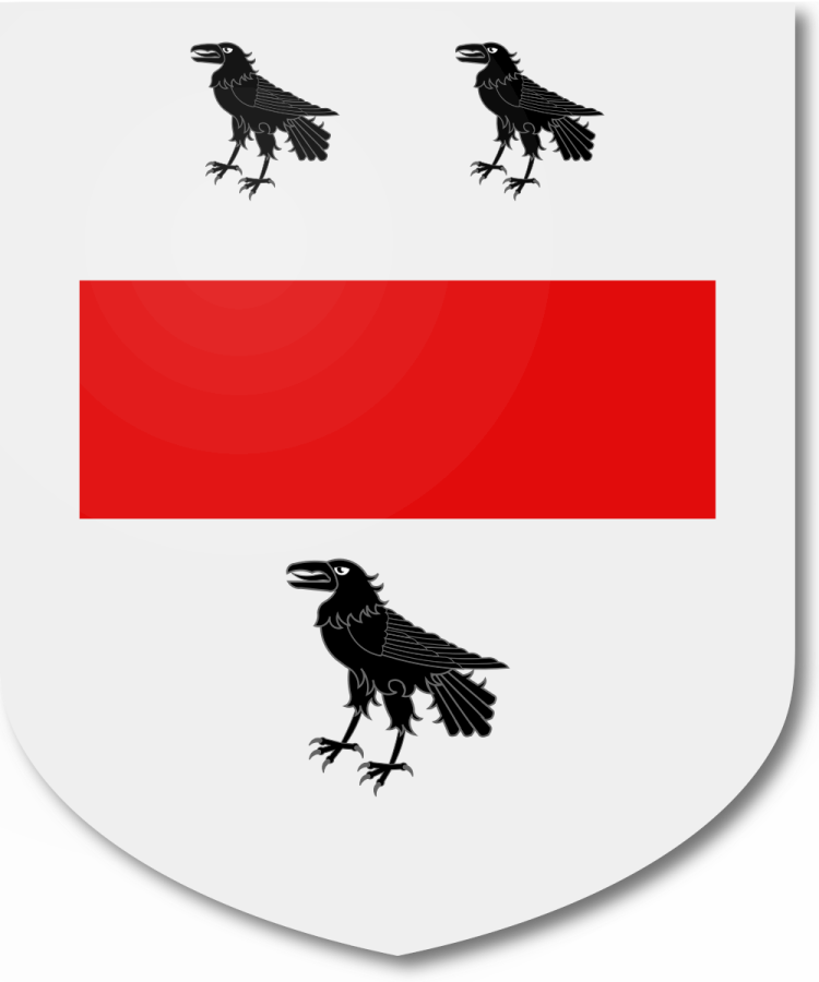 Shield image