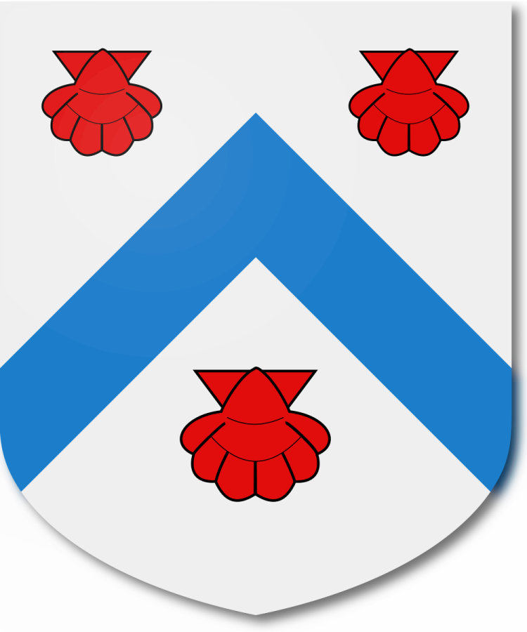 Shield image