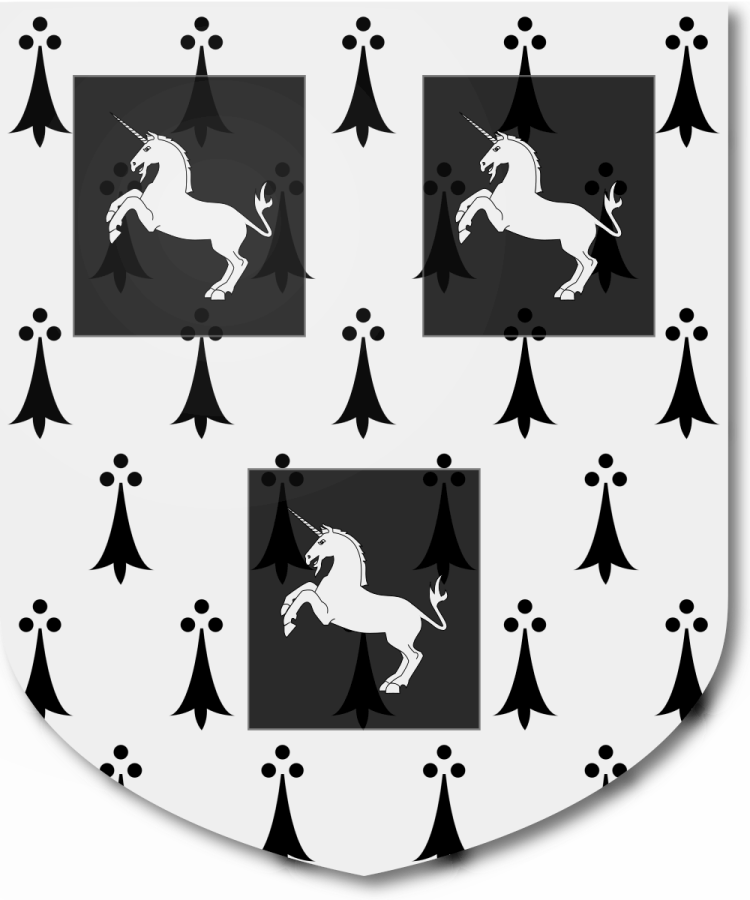 Shield image