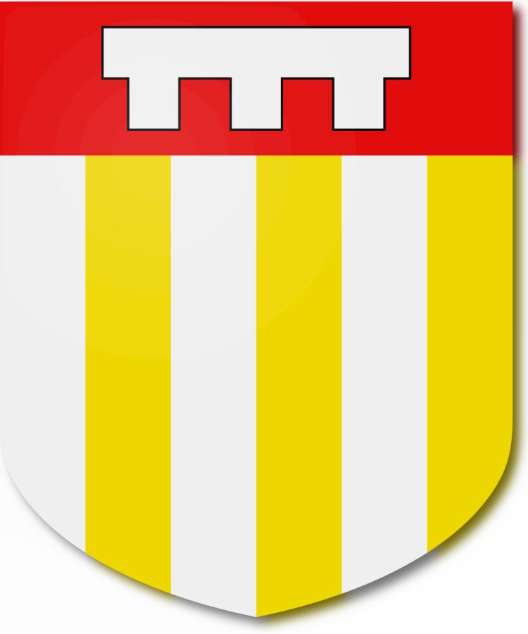 Shield image