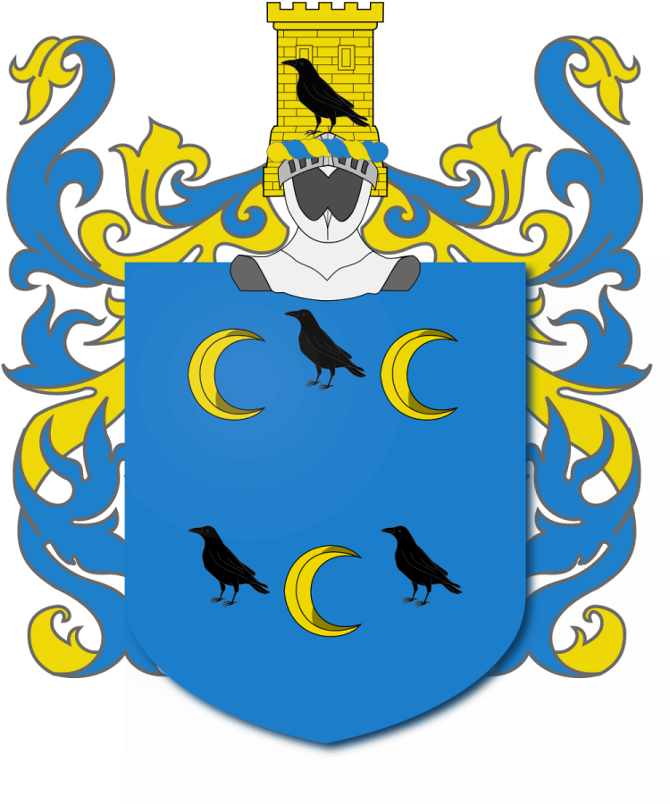 Shield image