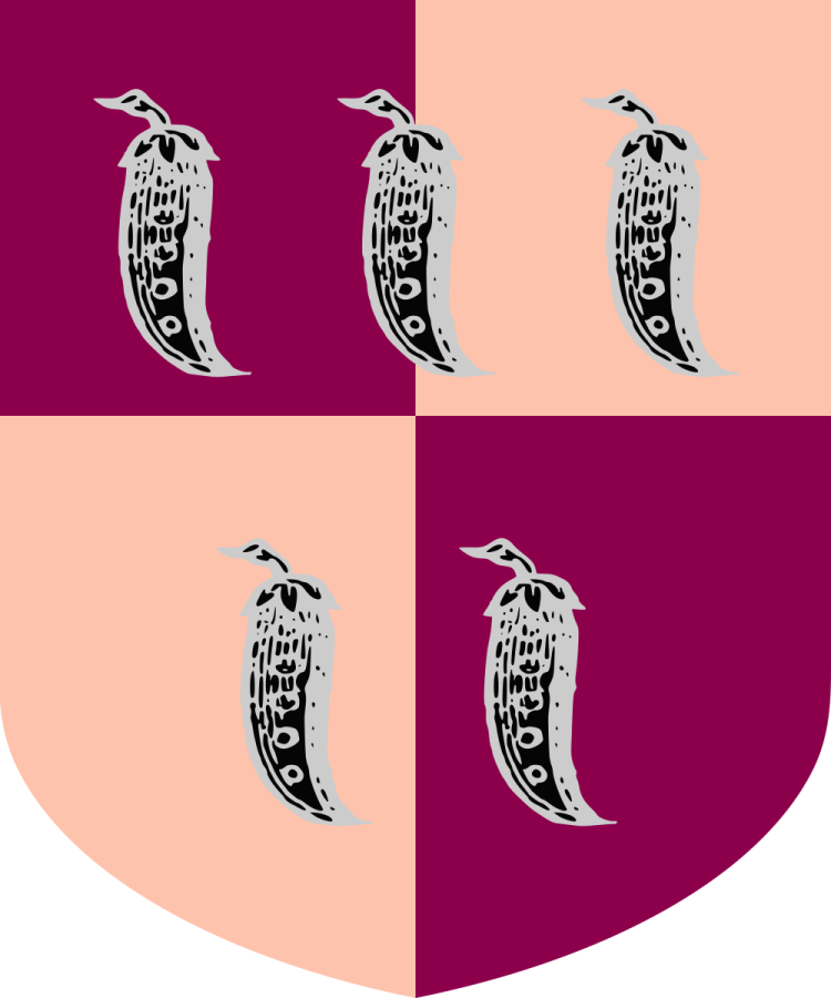 Shield image