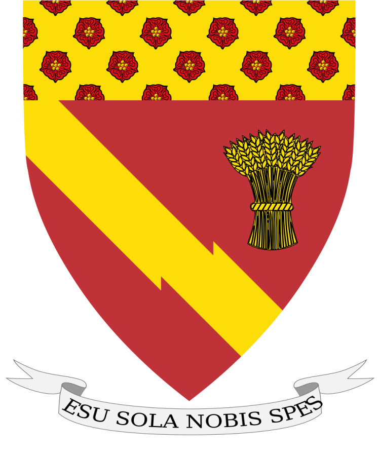 Shield image