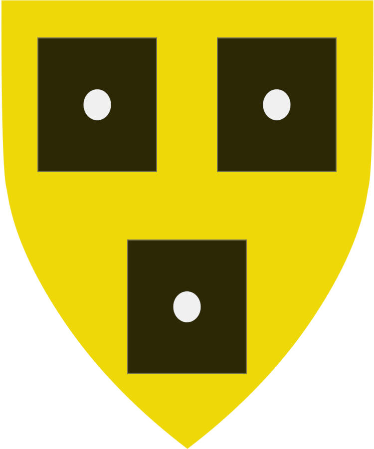 Shield image