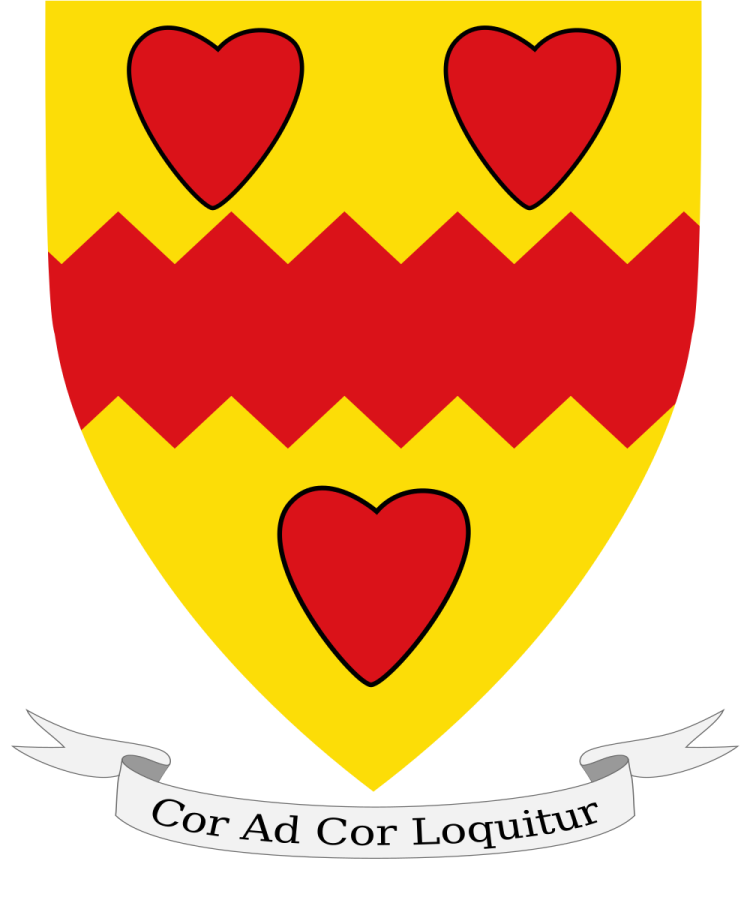 Shield image