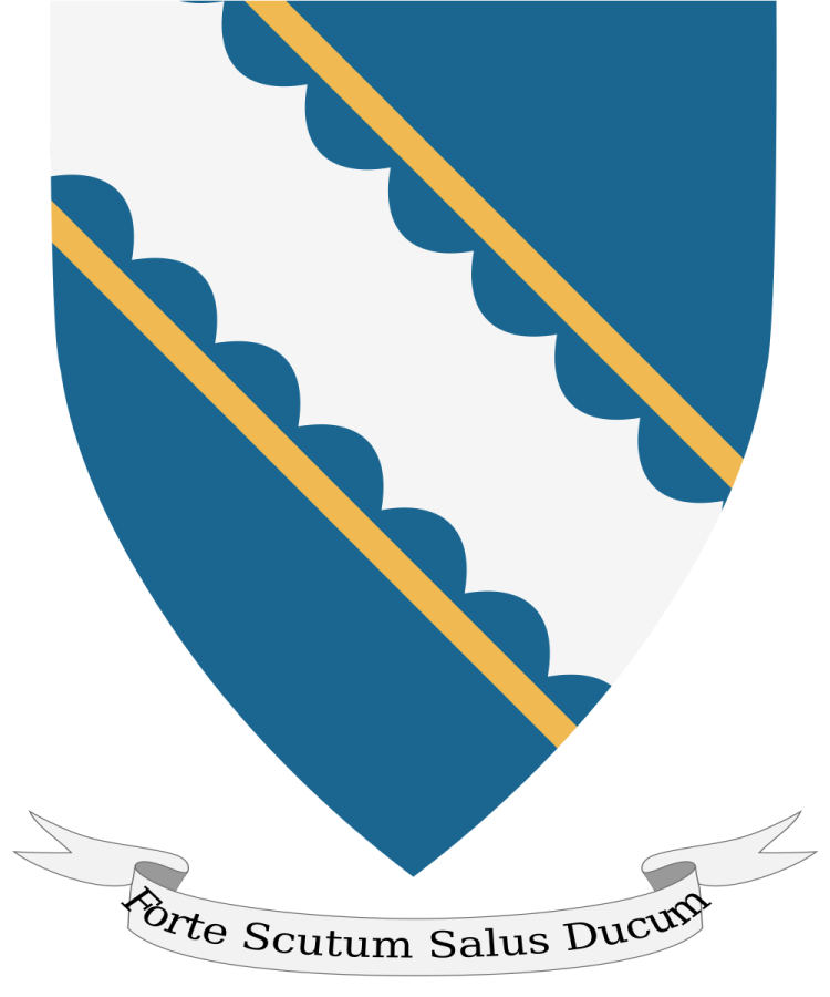 Shield image