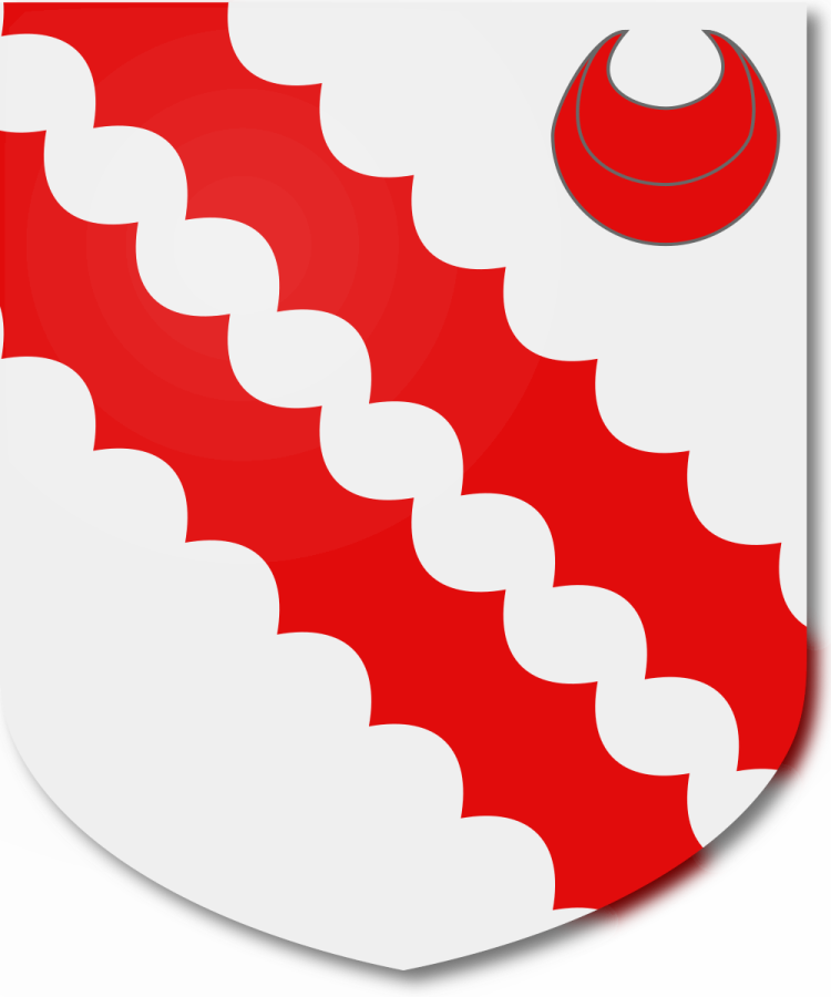 Shield image