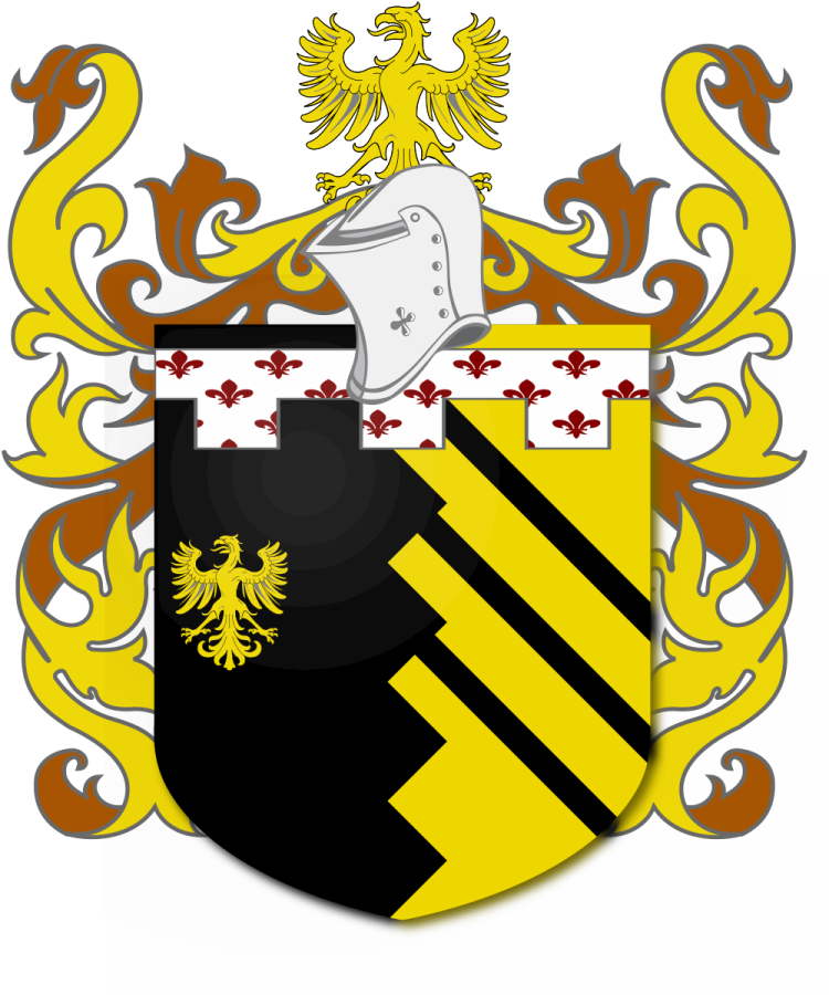 Shield image