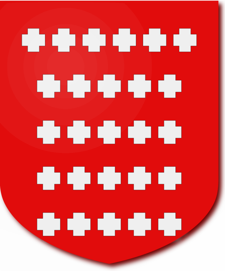 Shield image