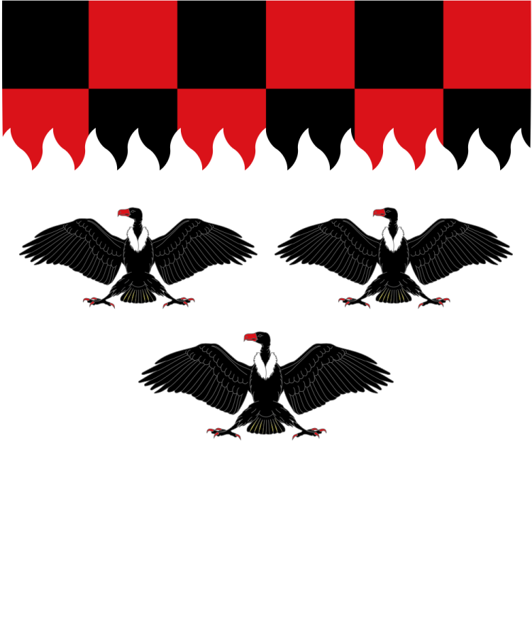 Shield image