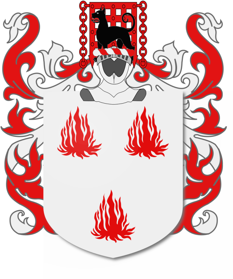 Shield image