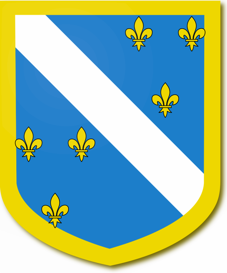 Shield image