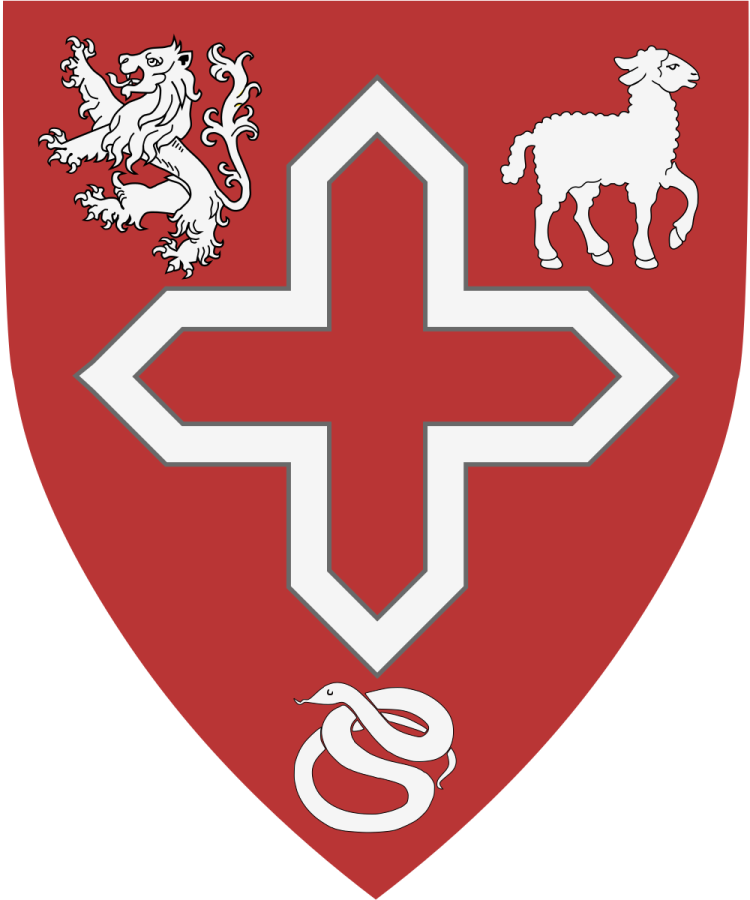 Shield image