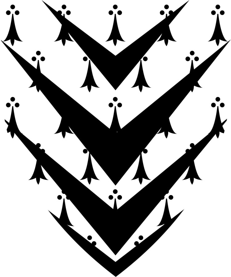 Shield image