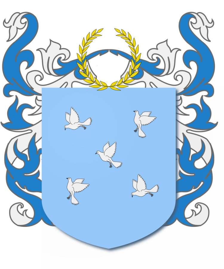 Shield image