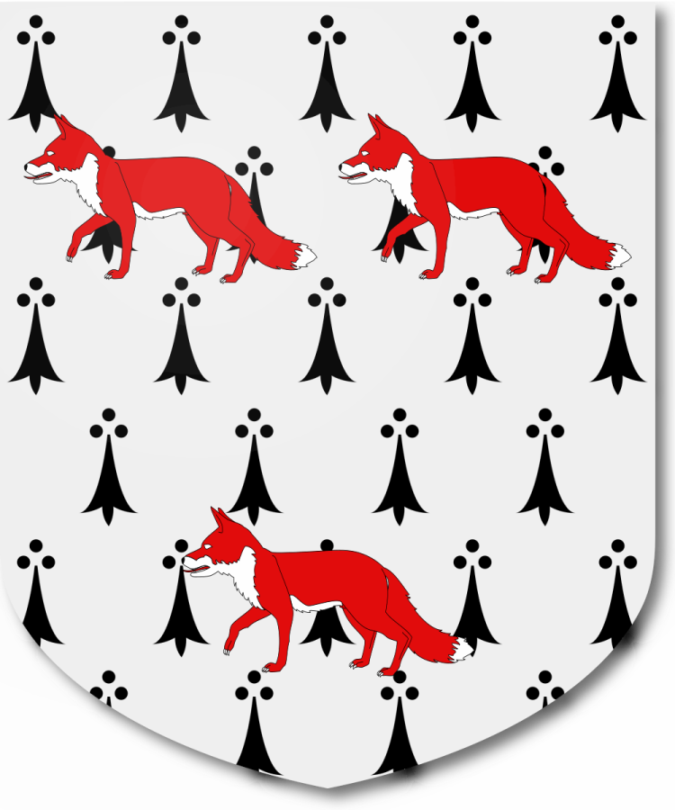 Shield image