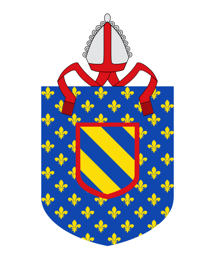 Shield image