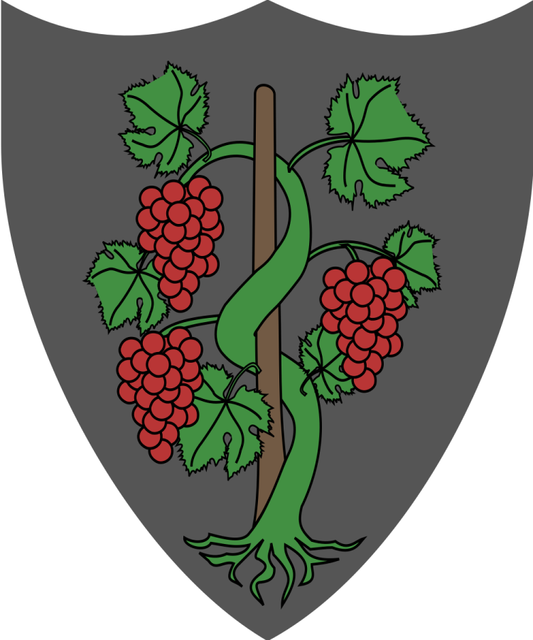 Shield image