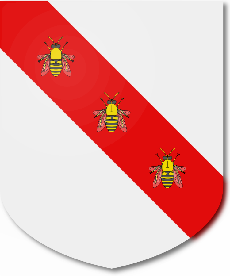 Shield image