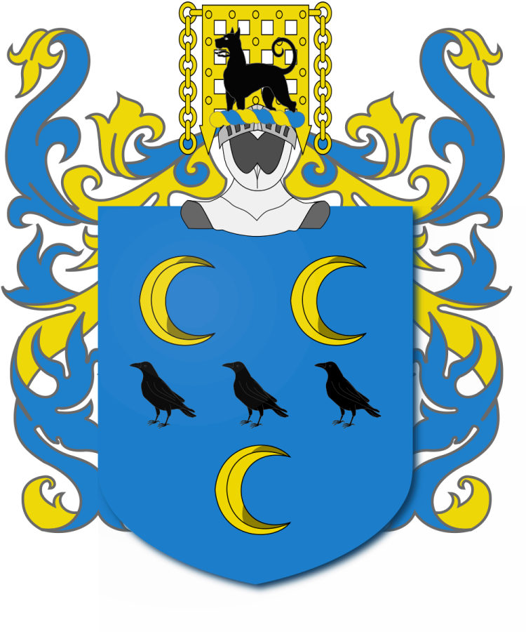 Shield image