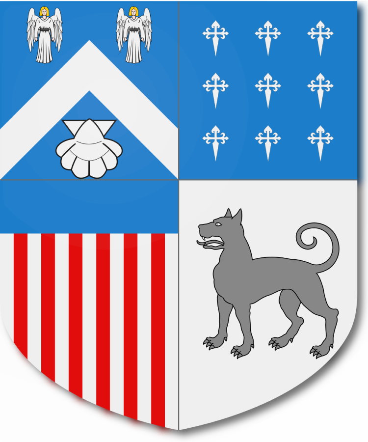 Shield image