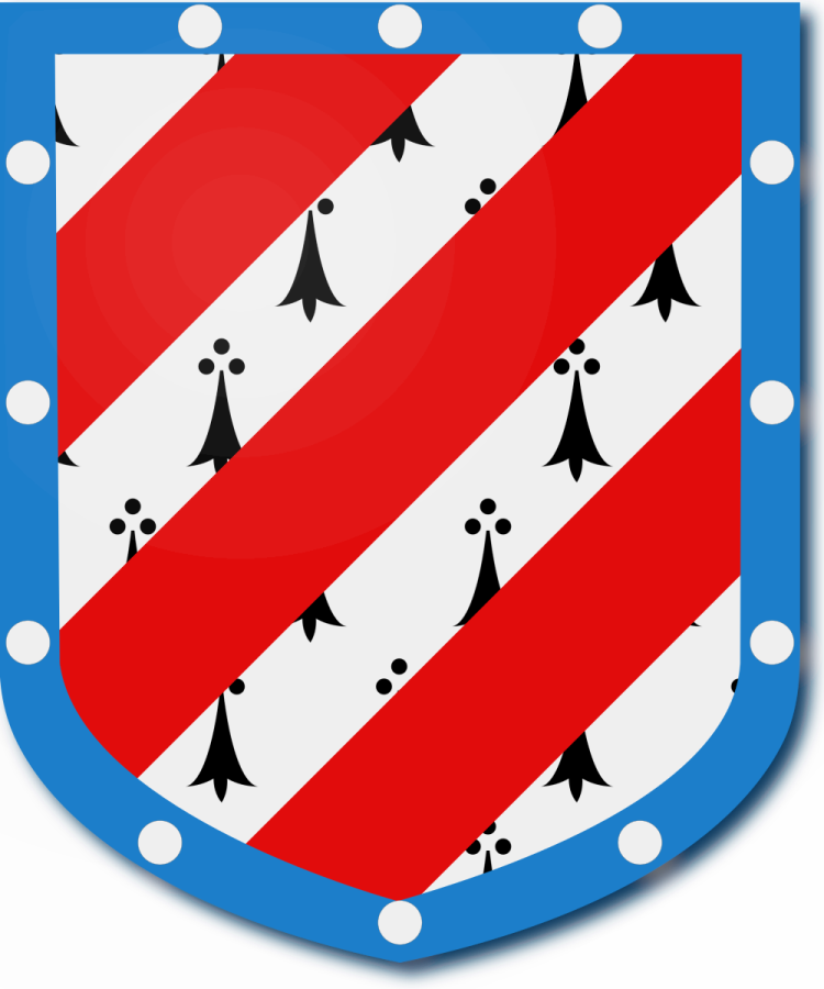 Shield image