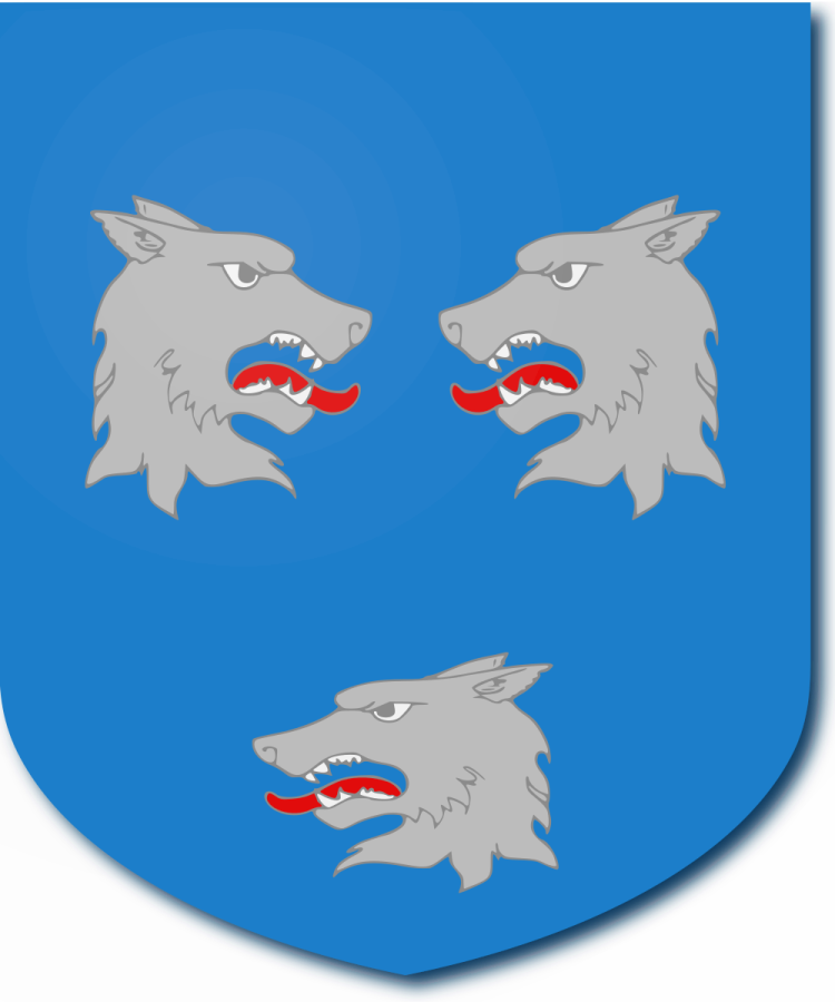 Shield image