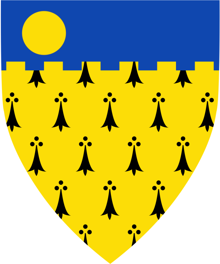 Shield image