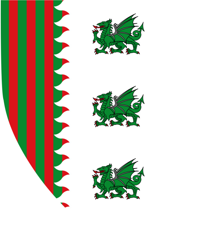 Shield image