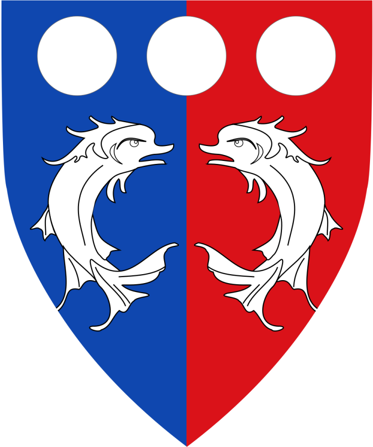 Shield image