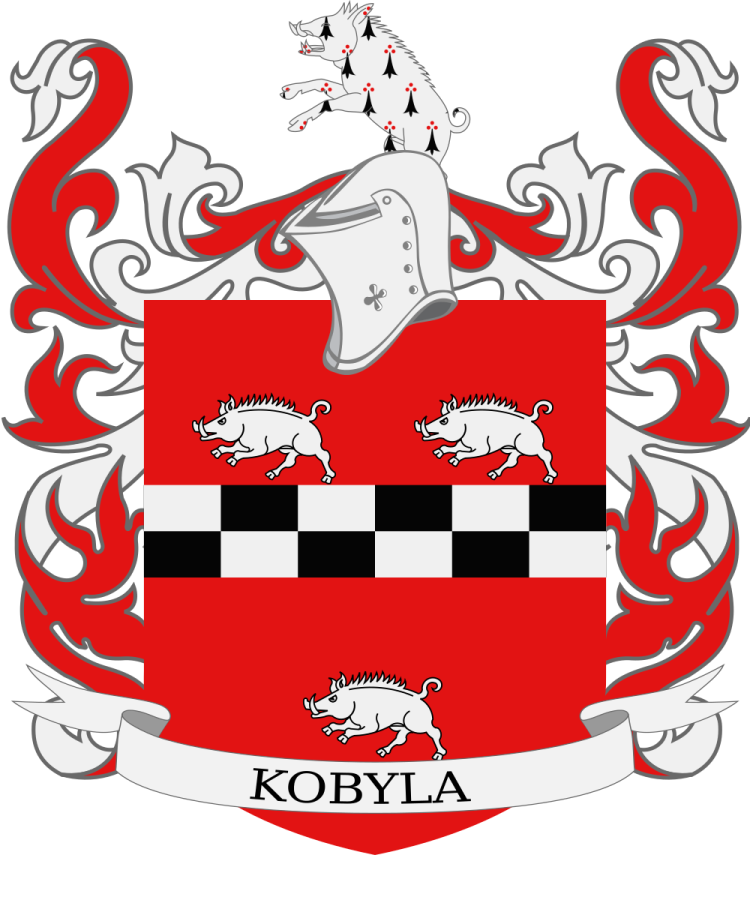 Shield image