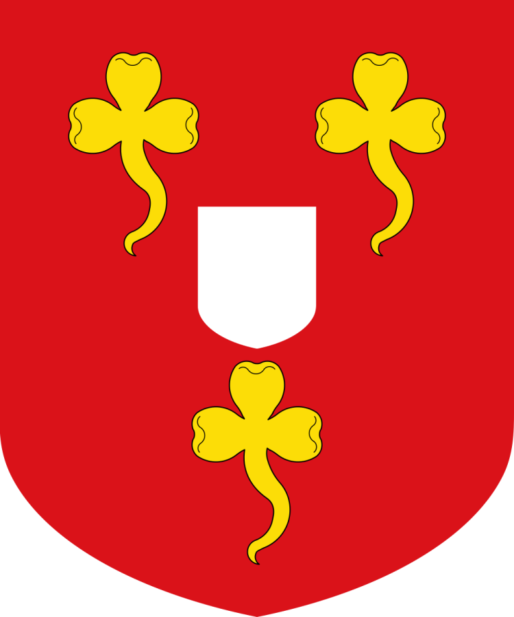 Shield image