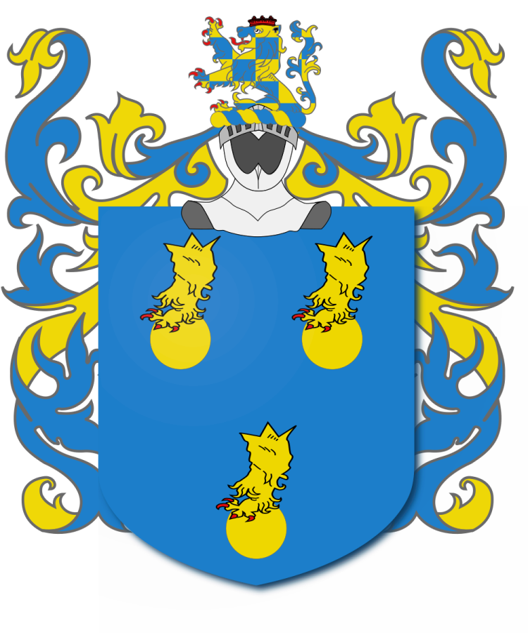 Shield image