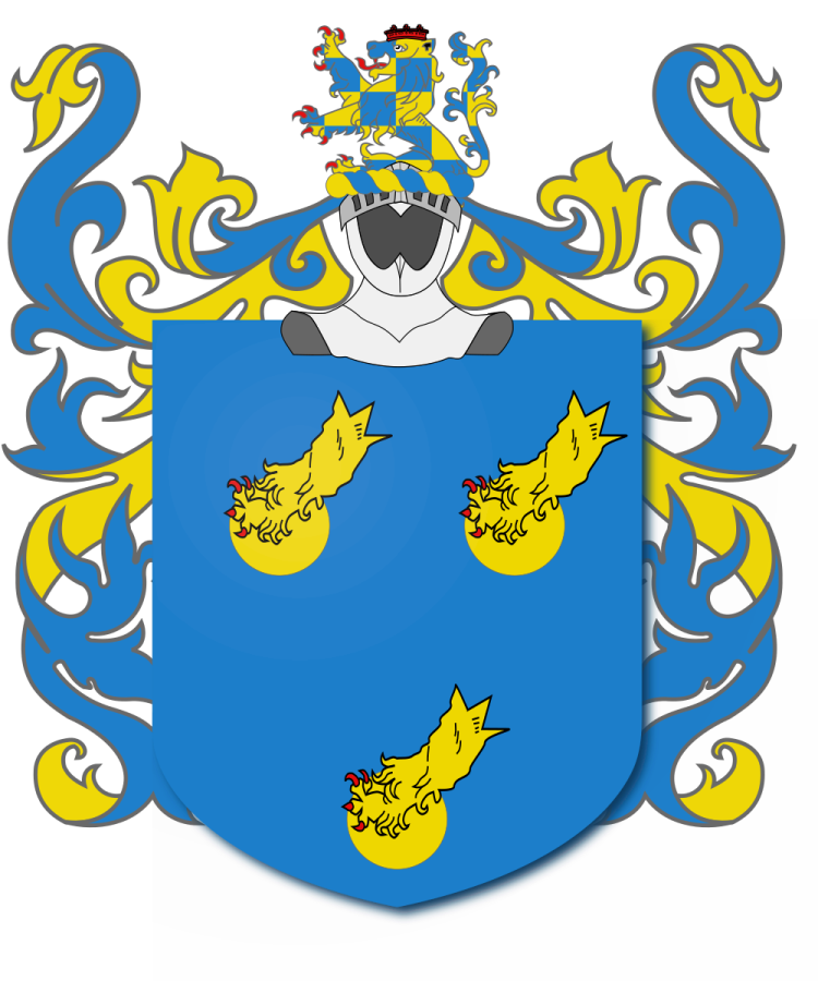 Shield image