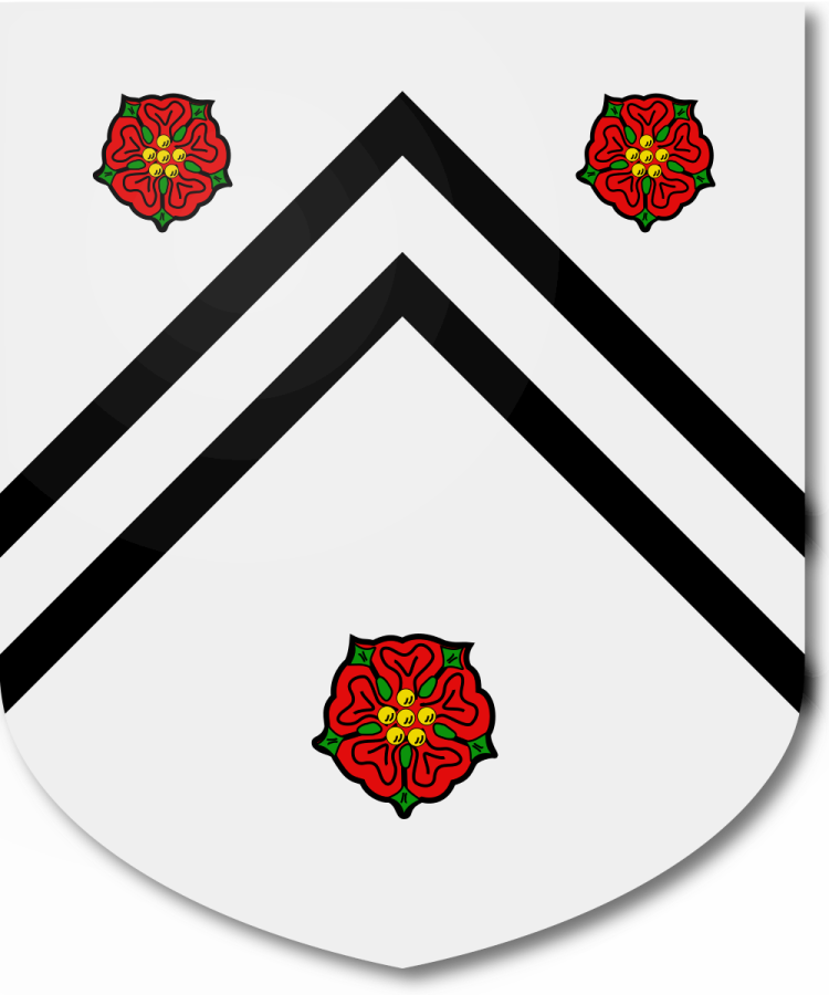 Shield image