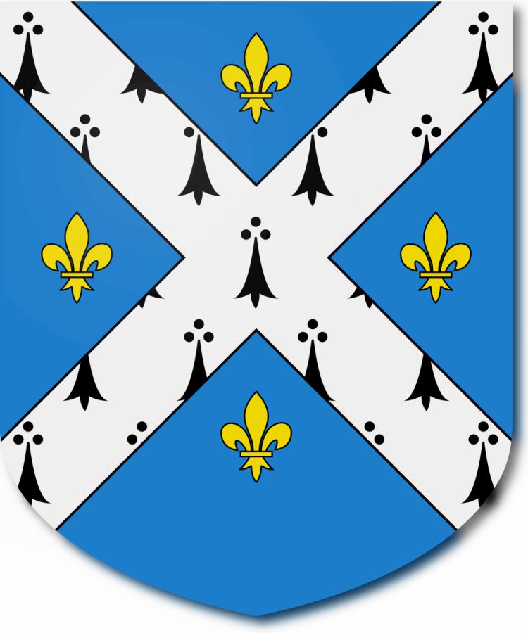 Shield image