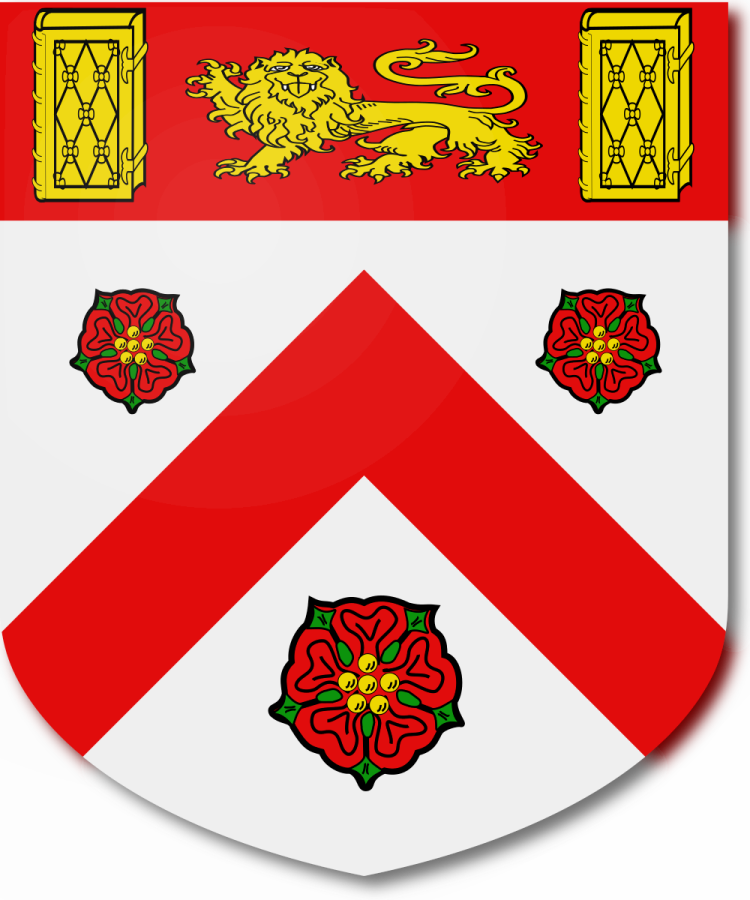 Shield image