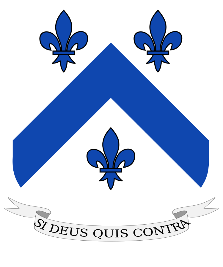 Shield image