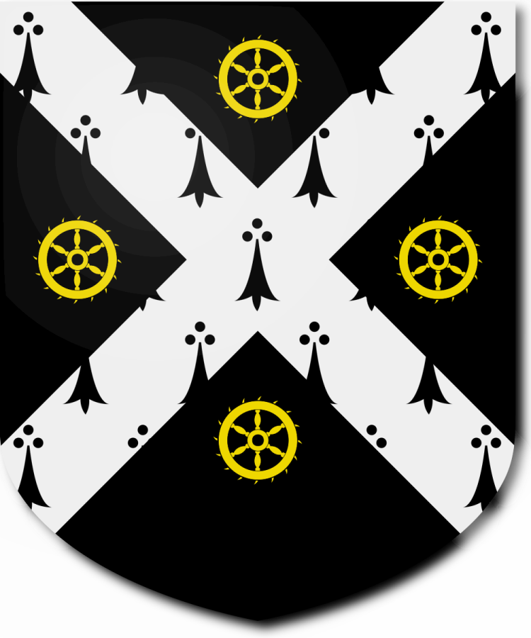 Shield image