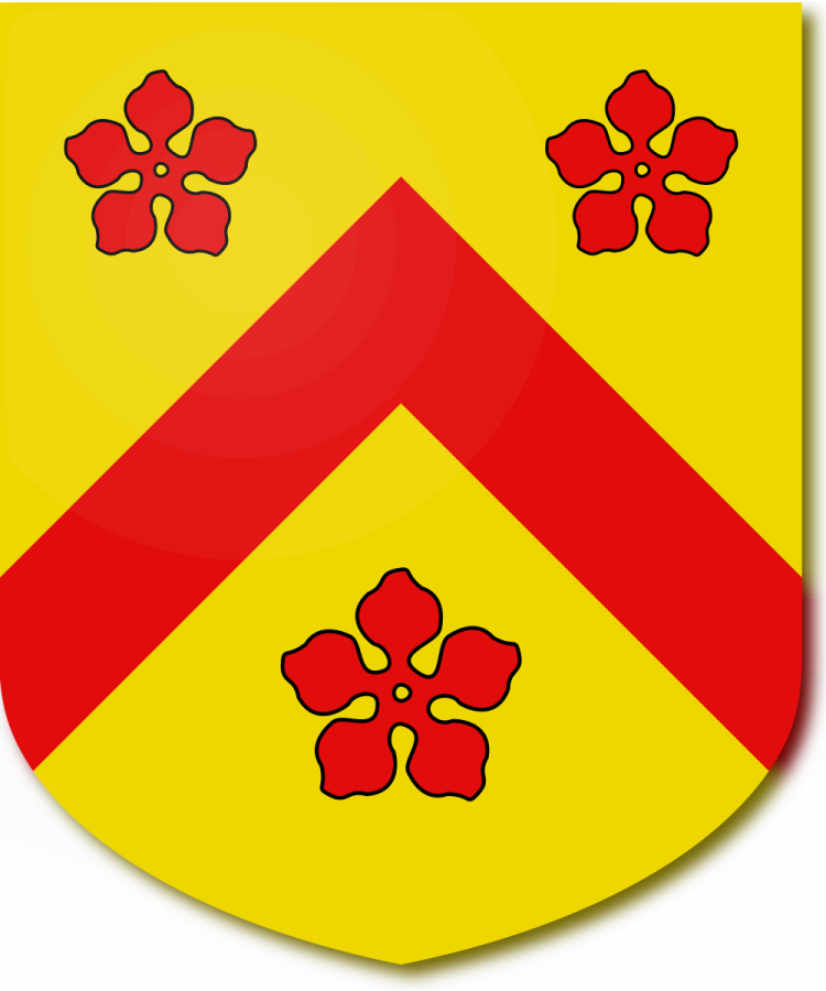 Shield image