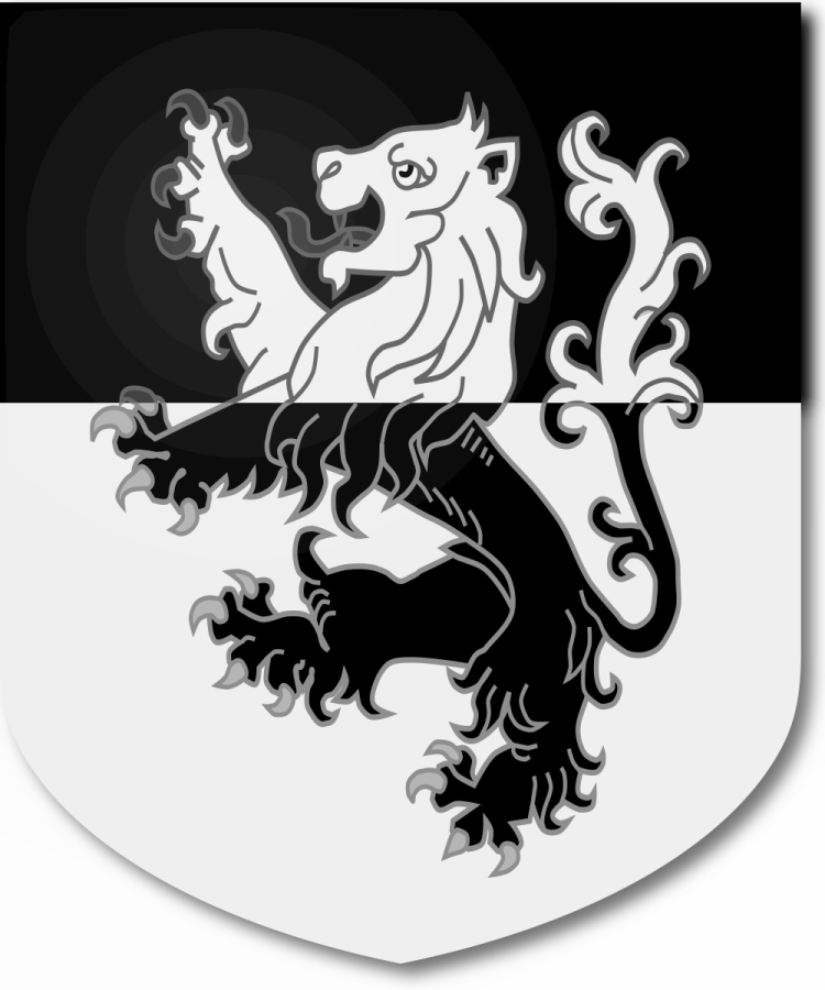 Shield image