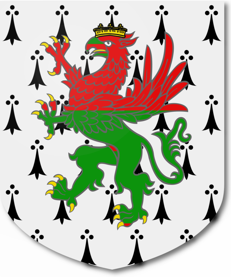 Shield image