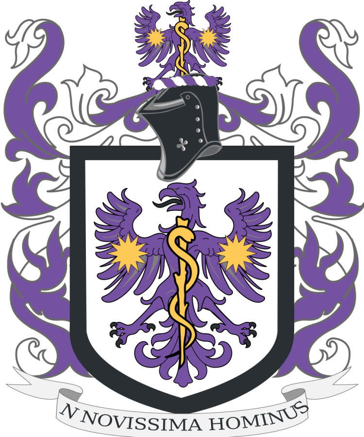 Shield image