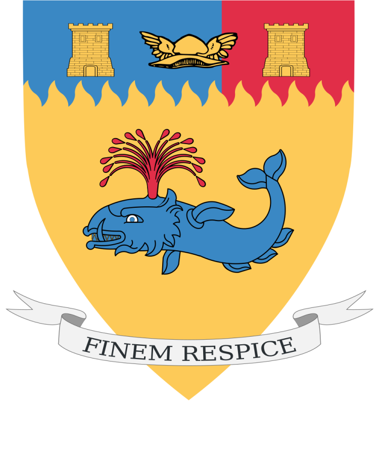 Shield image