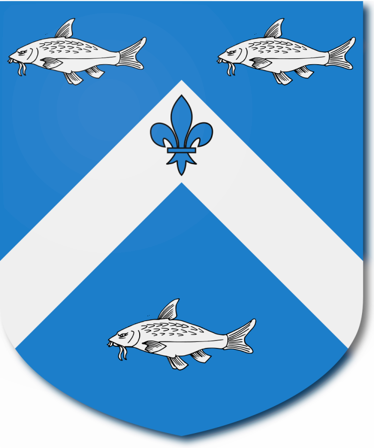 Shield image