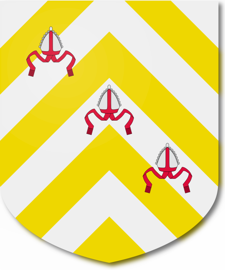 Shield image