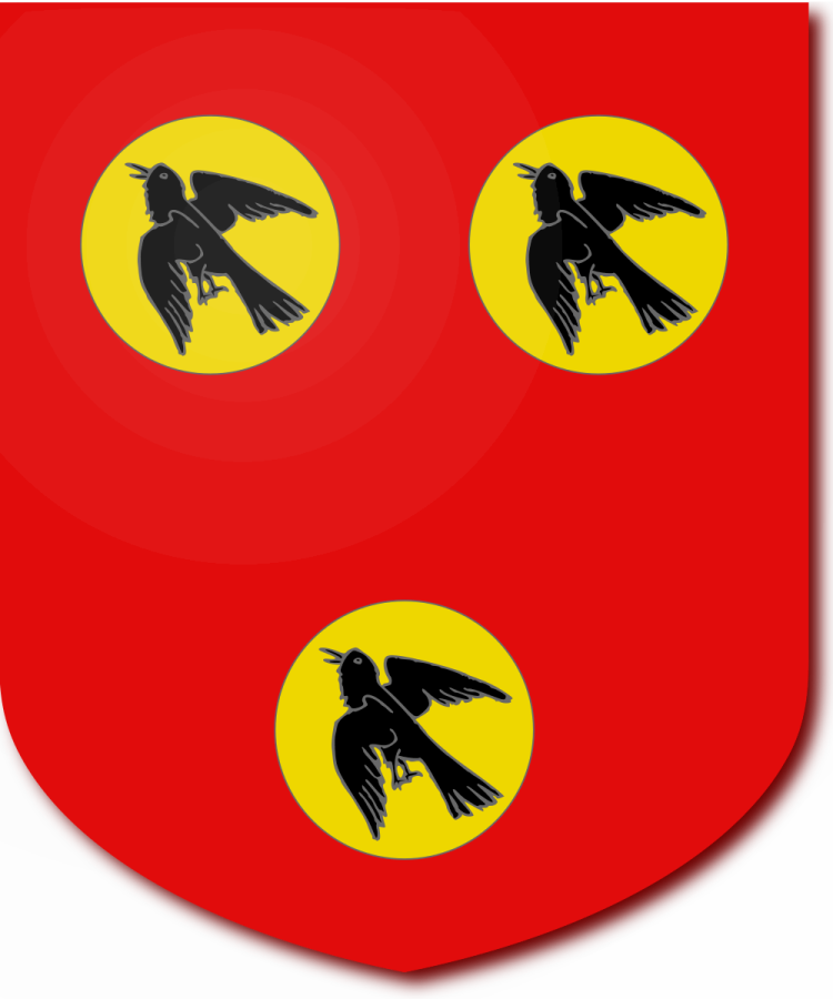 Shield image