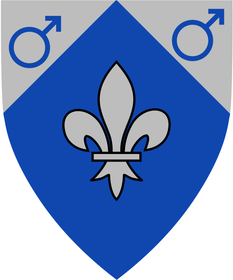 Shield image