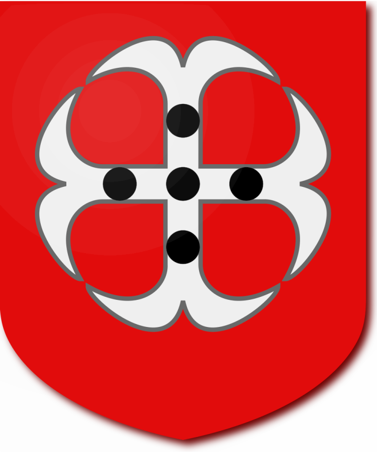 Shield image